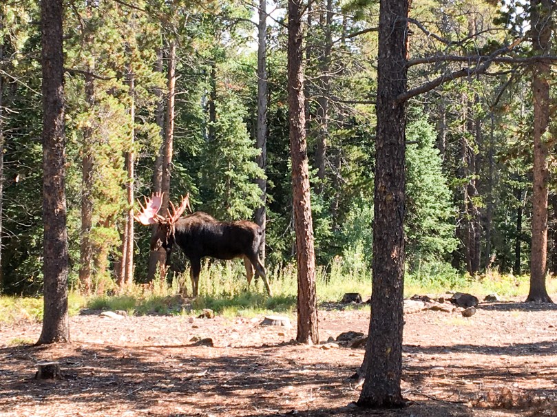 20160831-IMG_0571-12